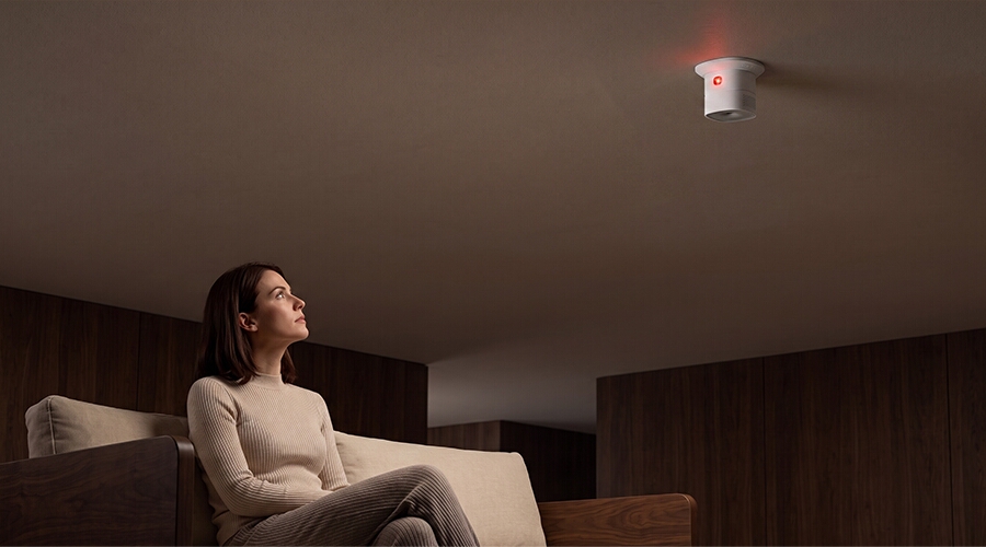 Smart Carbon Monoxide Sensor Heiman HS1CA series,Real-Time CO & Temperature Monitoring