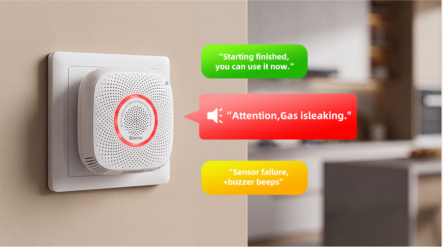 Combustible Gas Detector Heiman WS2CG series,Voice Broadcast & Visual Alarm
