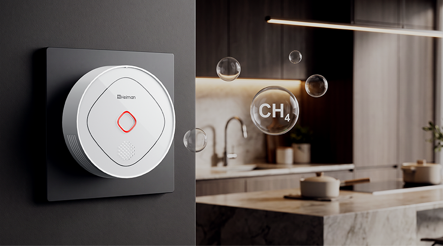 Combustible Gas Detector HS3CG series,Real-Time Gas Detection