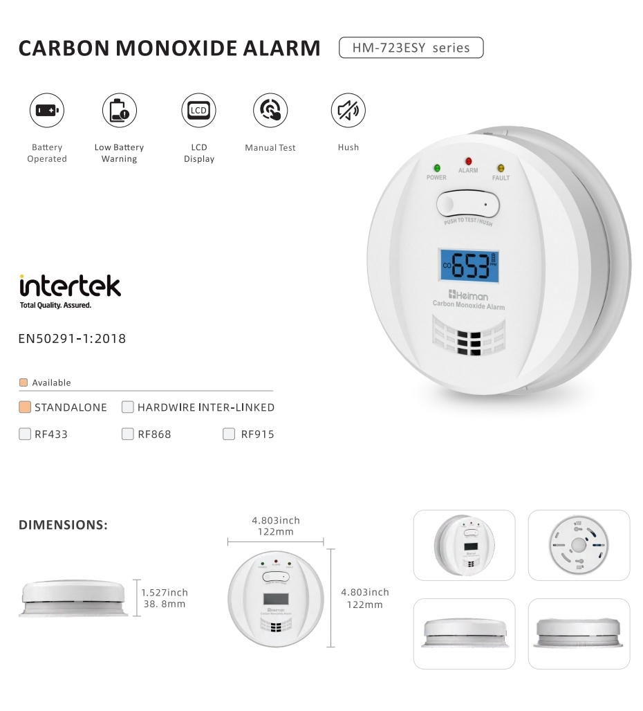 01 Carbon Monoxide Alarm HM-723ESY series